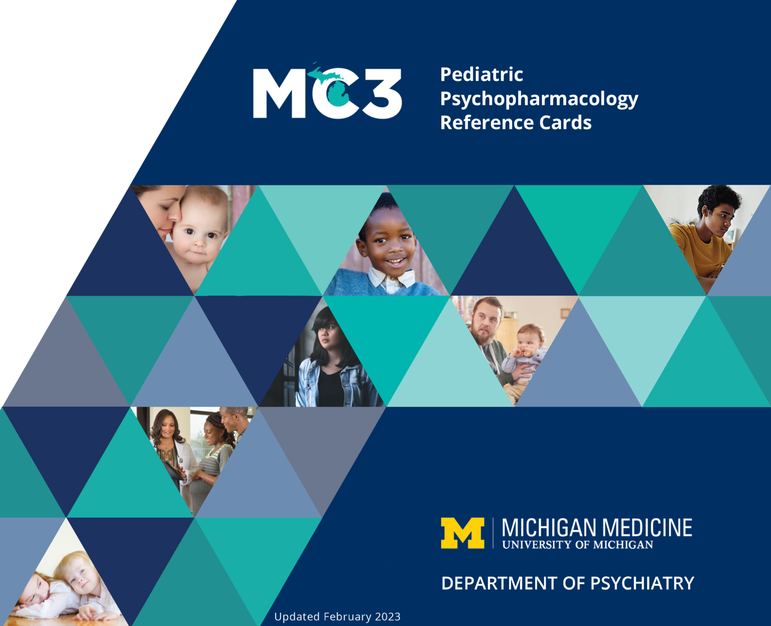 image of the cover of the Pediatric Psychopharmacology Reference Cards