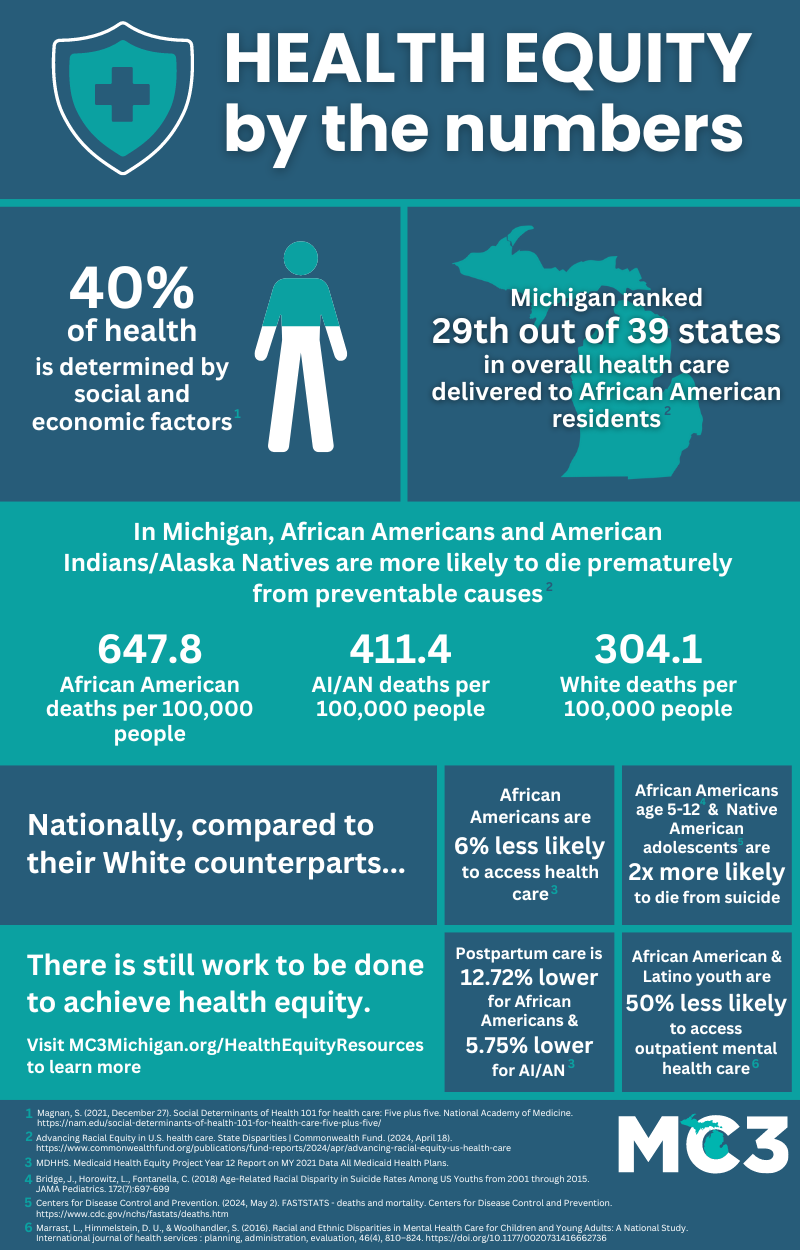 Health equity infographic