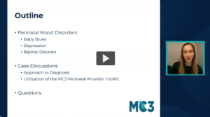 Preview of Perinatal Mood Disorders