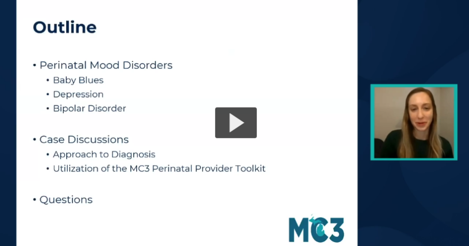 Preview of Perinatal Mood Disorders