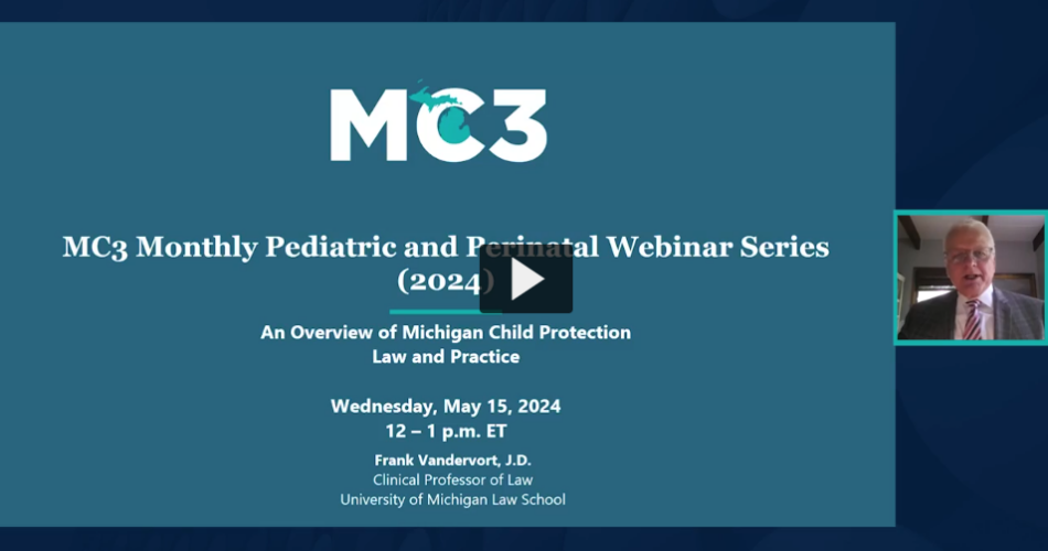 Preview of Overview of Michigan Child Protection Law and Practice