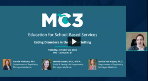 Preview of Eating Disorders in the School Setting