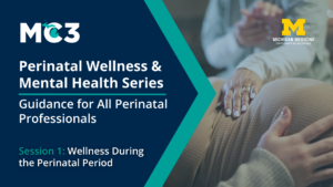 Title slide for Perinatal Wellness & Mental Health Series, Session 1: Wellness During the Perinatal Period