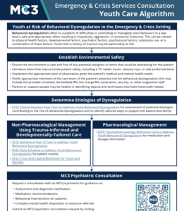 Preview of MC3 ECSC Care Algorithm to Address Youth Agitation and Aggression.
