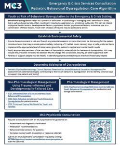 Preview of Pediatric Behavioral Dysregulation Care Algorithm.
