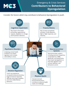 Preview of Contributors to Behavioral Dysregulation.