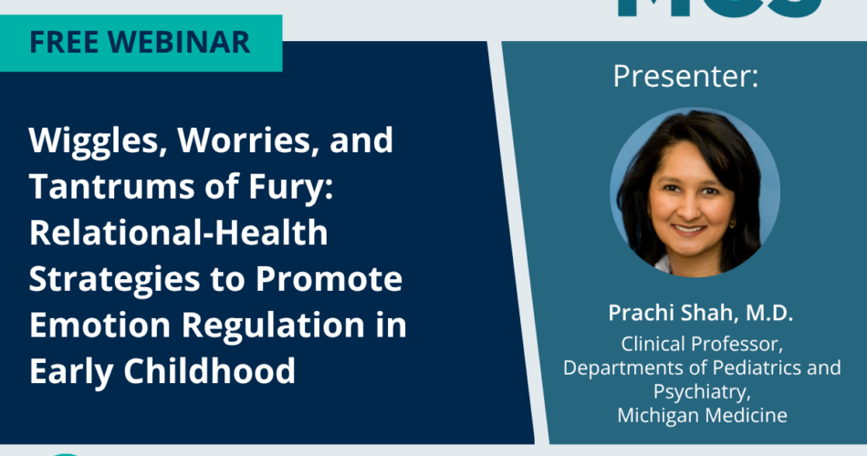 Preview of MC3 November webinar.
